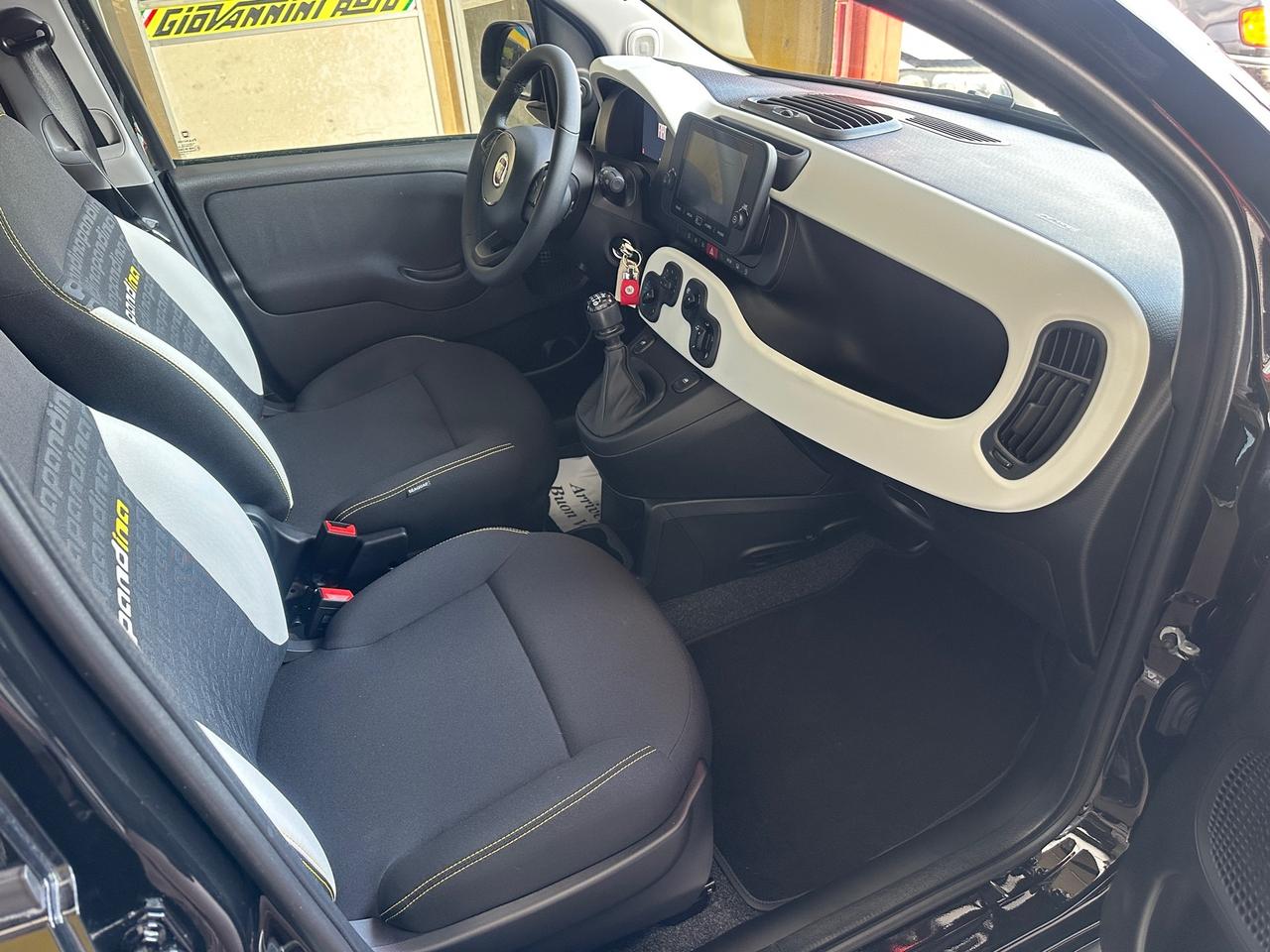 Fiat Panda Pandina 1.0 FireFly 65 CV Hybrid Cross