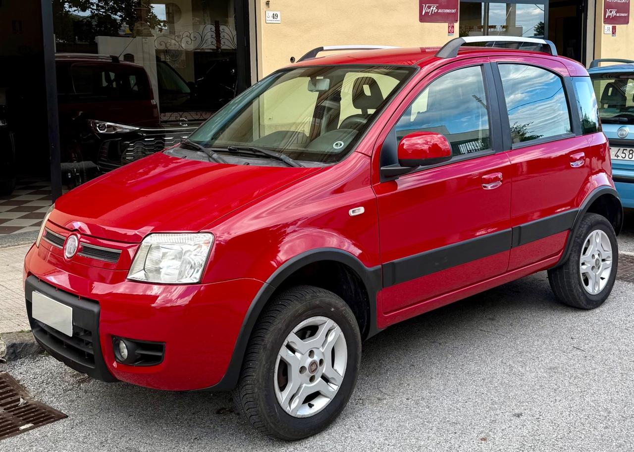 Fiat Panda 1.3 MJT 16V DPF 4x4 Climbing