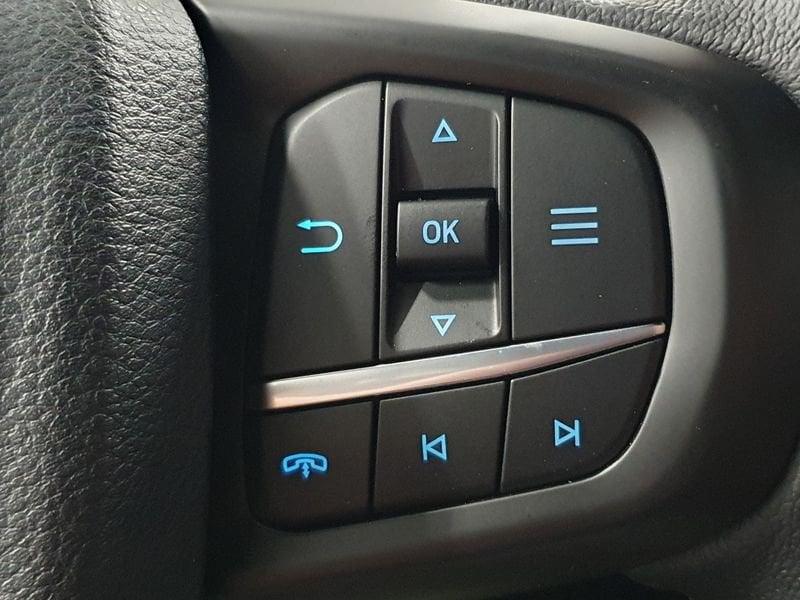 Ford Ranger 2.0 ECOBLUE aut. 205 CV DC Wildtrak 5 posti