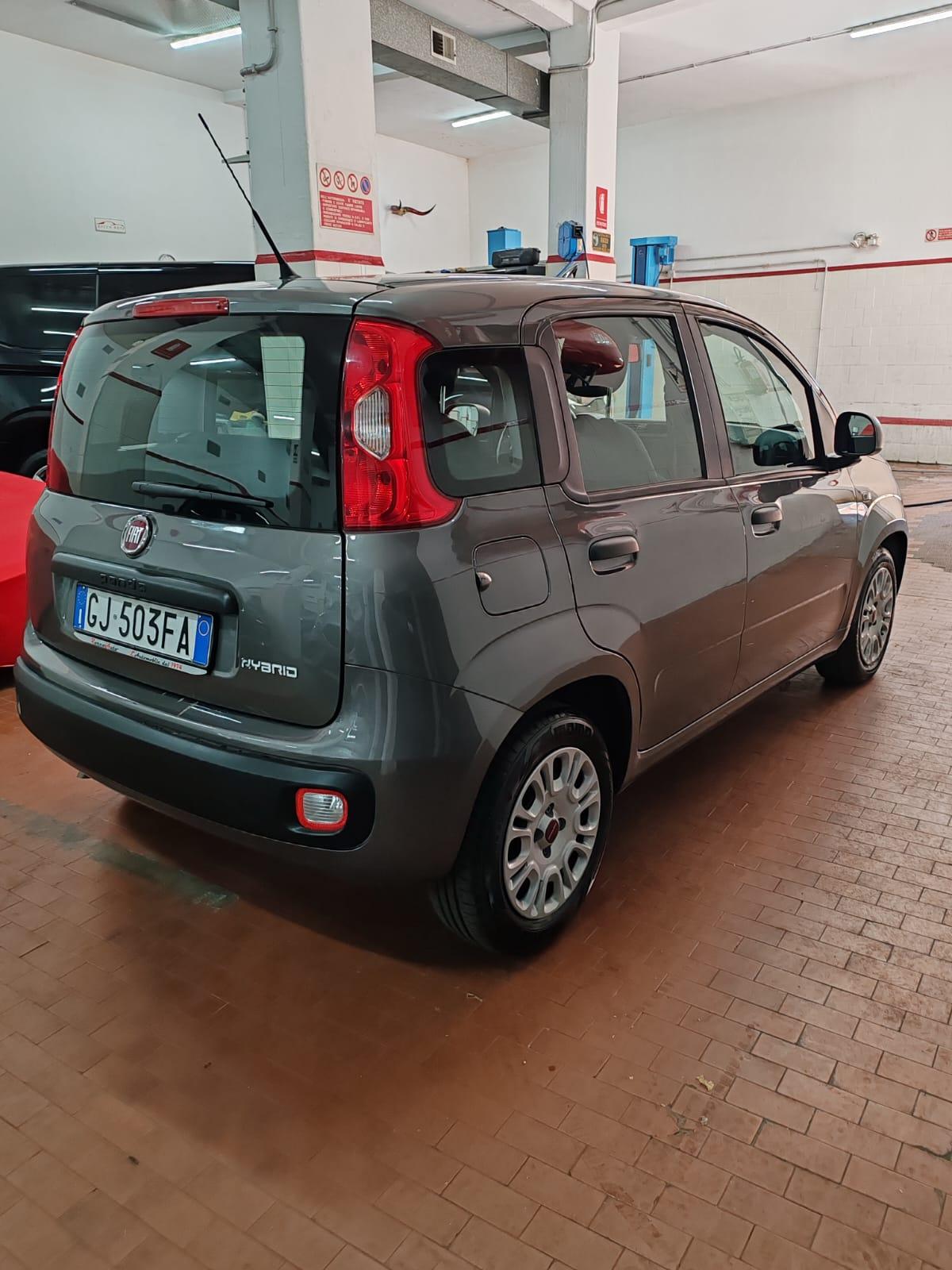 Fiat Panda 1.0 hybrid