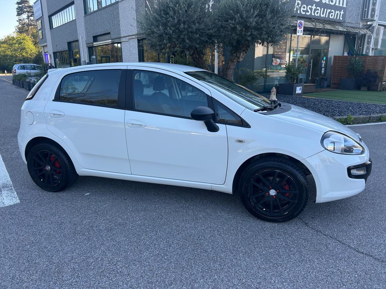 Fiat Punto Evo 1.2 5 porte S&S Dynamic*Neo patentati *