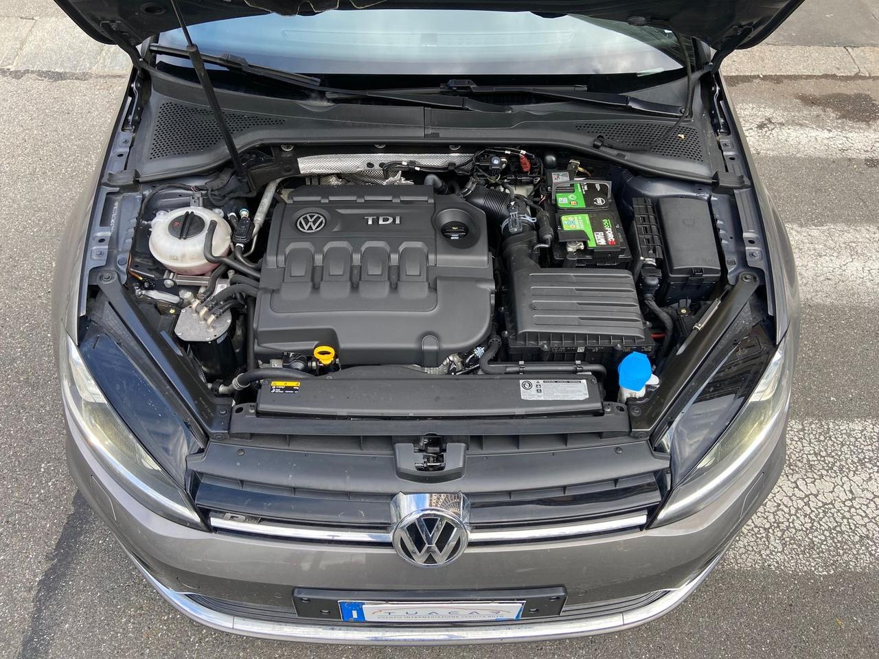 Volkswagen Golf Sport Edition 1.6 TDI BlueM #10426