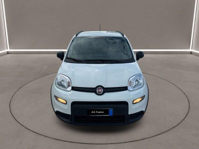 FIAT Panda 3ª serie - 1.0 FireFly S&S Hybrid City Life