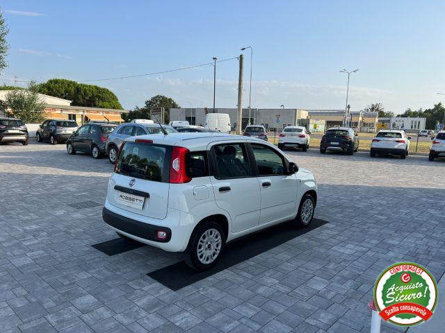 FIAT Panda 1.2 GPL ANCHE PER NEOPATENTATI