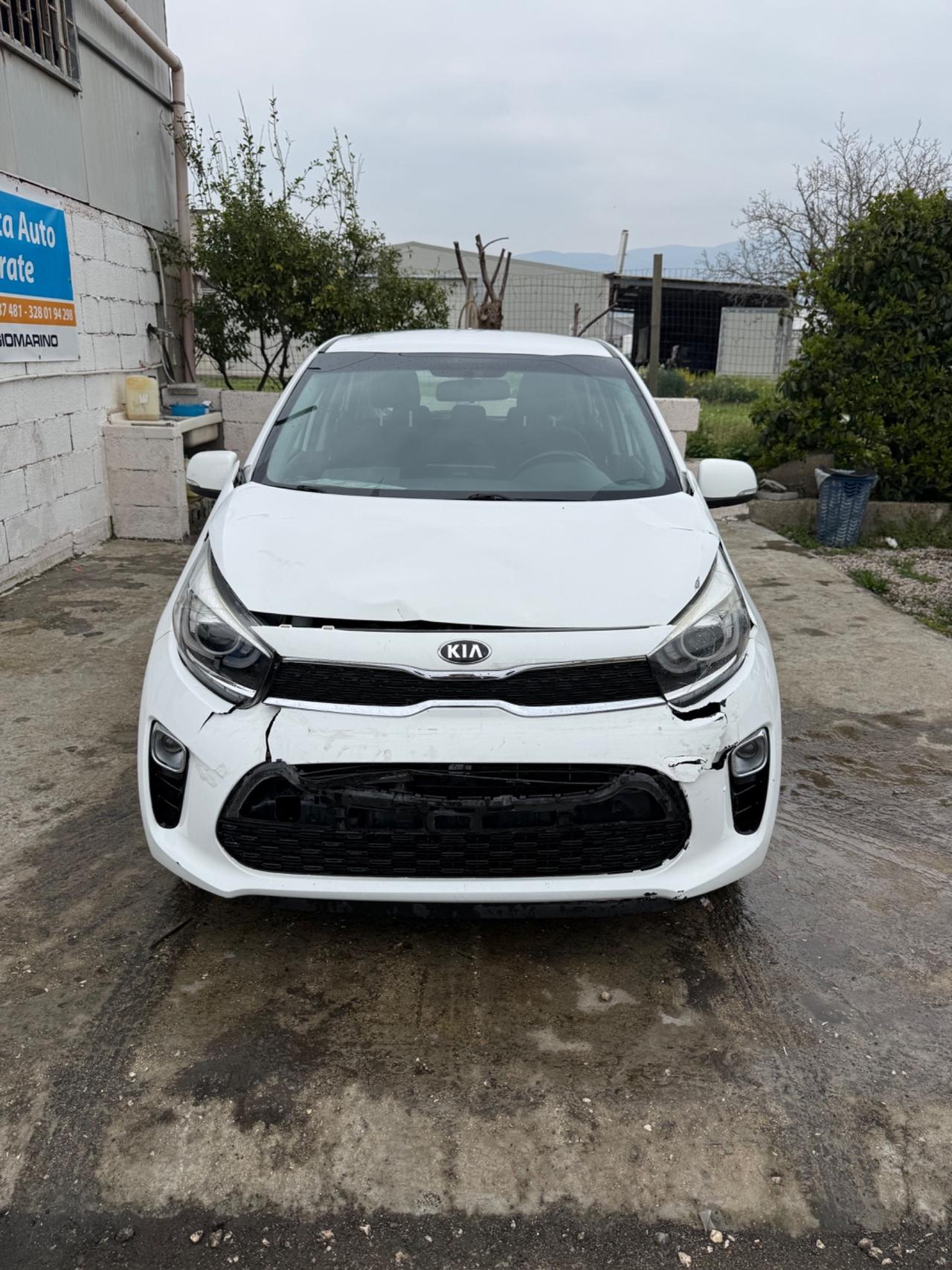 Kia Picanto 1.0 12V EcoGPL 5 porte Cool