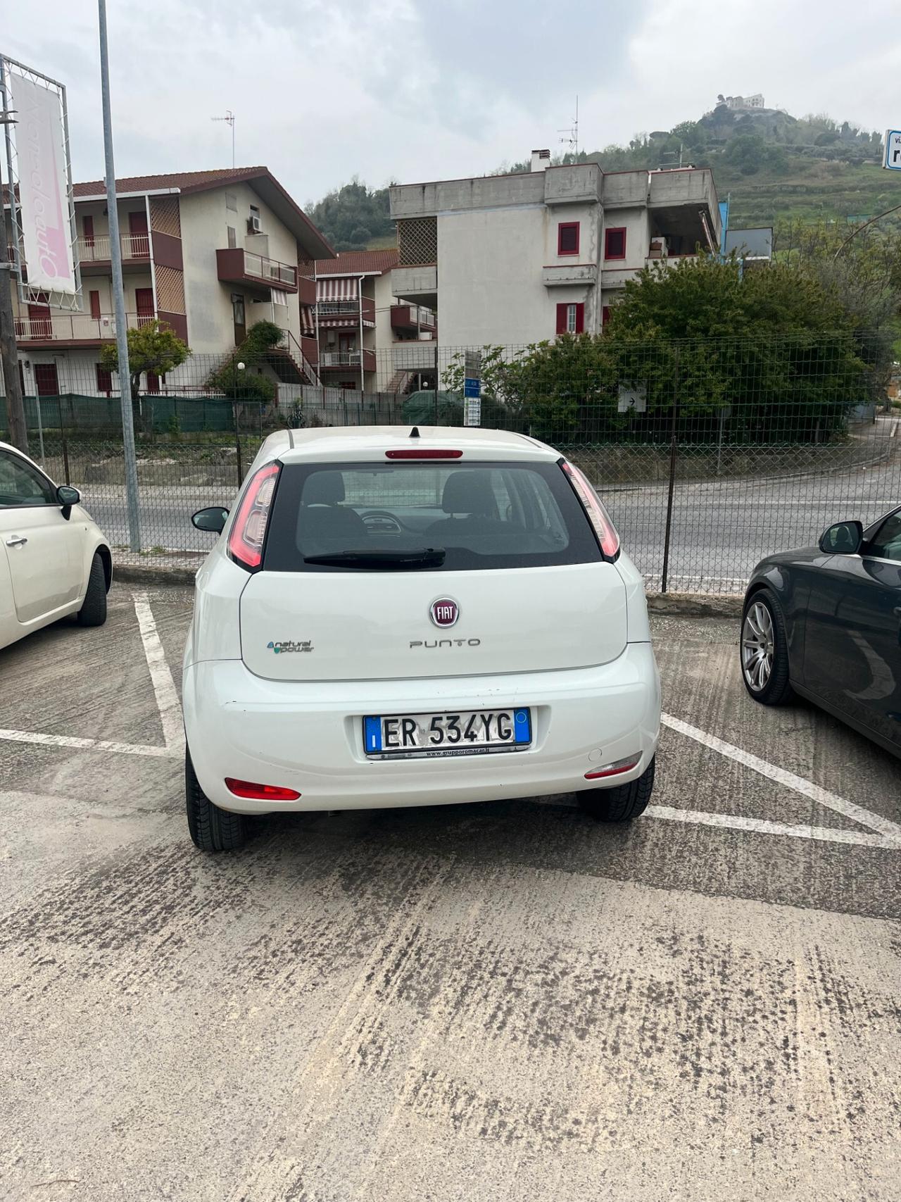 Fiat Punto Evo Punto Evo 1.2 5 porte S&S Active