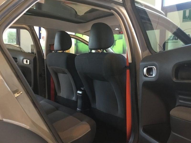 Citroën C4 Cactus BlueHDi 100 Rip Curl