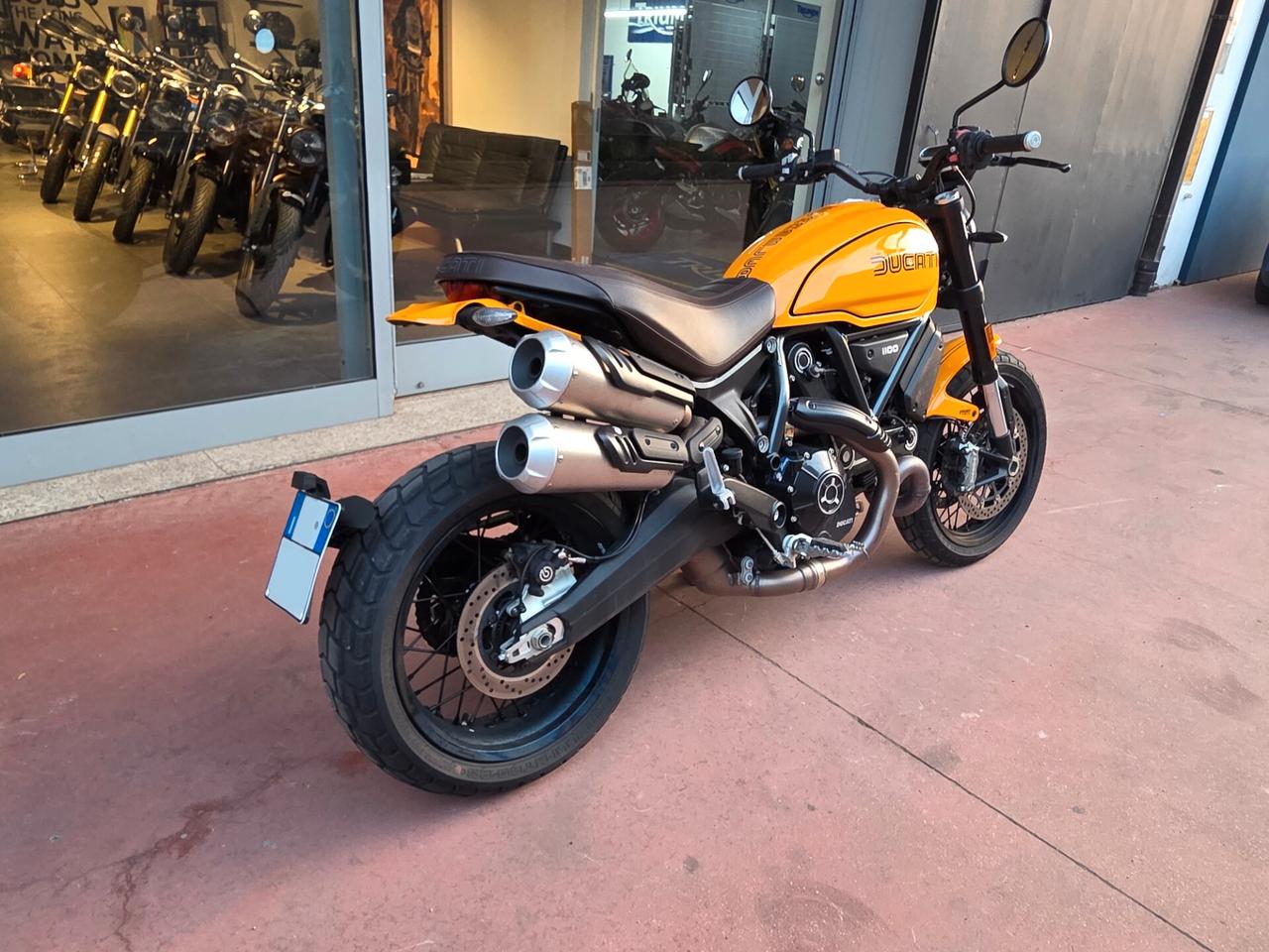 Ducati Scrambler 1100 TRIBUTE PRO