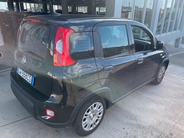 Fiat Panda 1.0 FireFly S&S Hybrid Pandina
