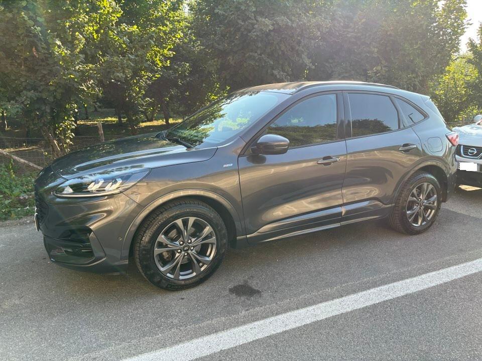 Ford Kuga 2.0 EcoBlue Hybrid 150CV 2WD ST-Line