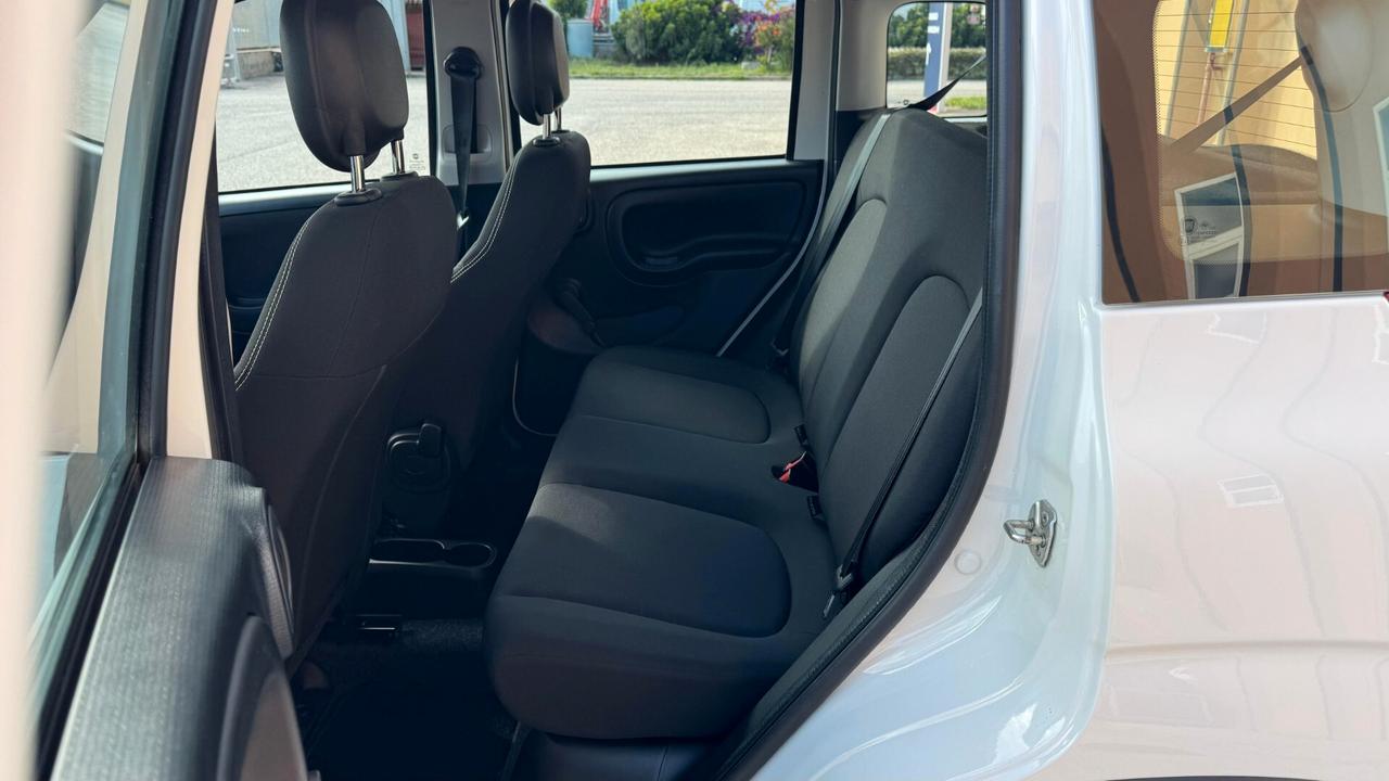 Fiat Panda 1.0 69CV NEOPATENTATI - 2024