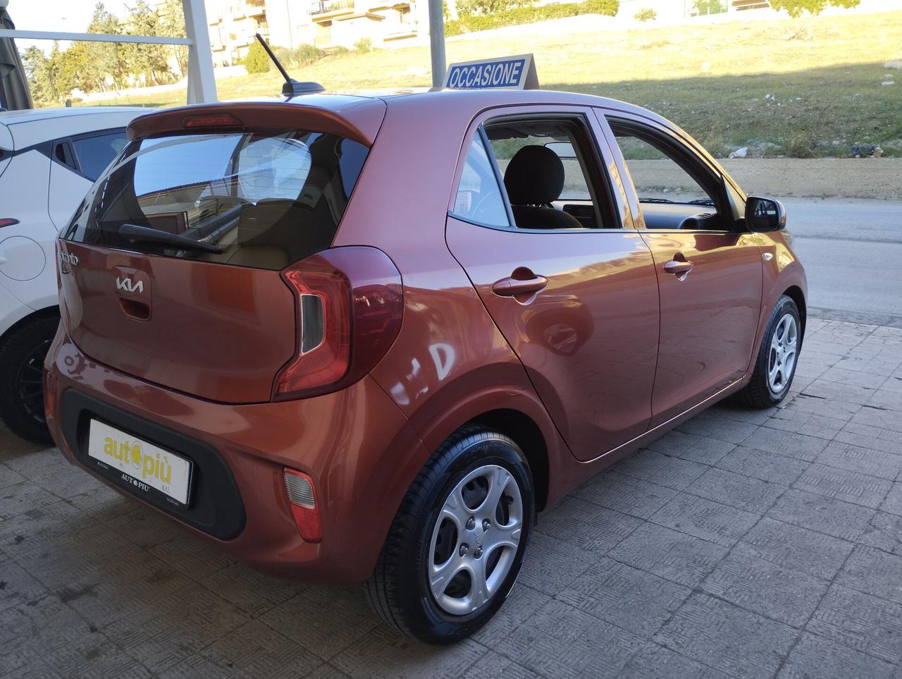 Kia Picanto 1.0 12V 5 porte Urban