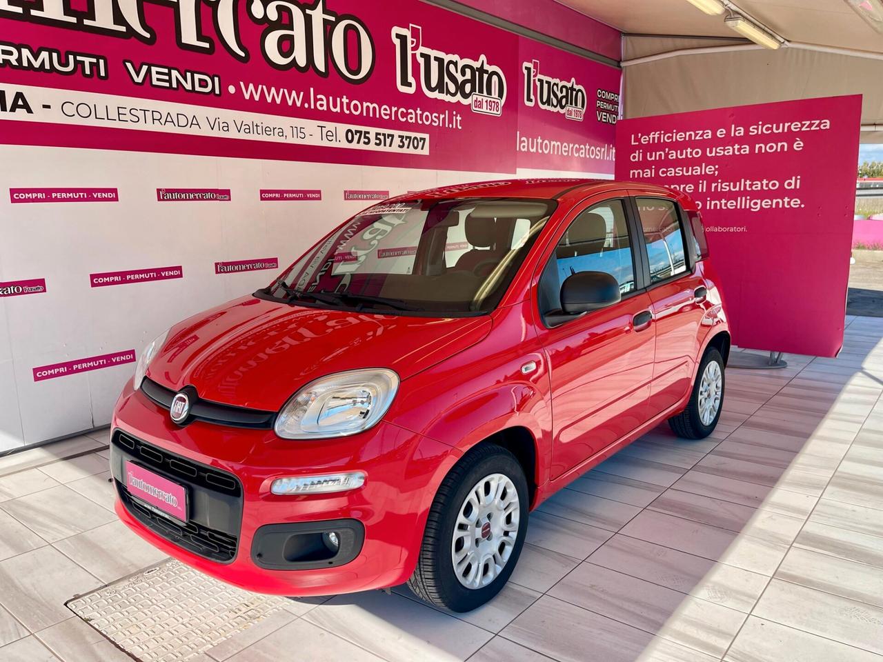 FIAT Panda 3ª serie Panda 1.2 Easy