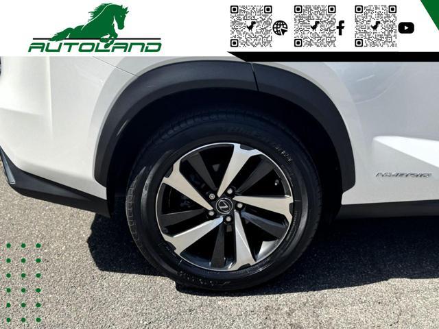 LEXUS NX 300 Hybrid 4WD Executive 155 CV