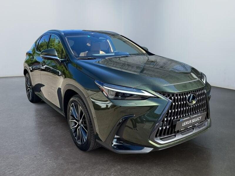 Lexus NX Hybrid Luxury 4WD MY22