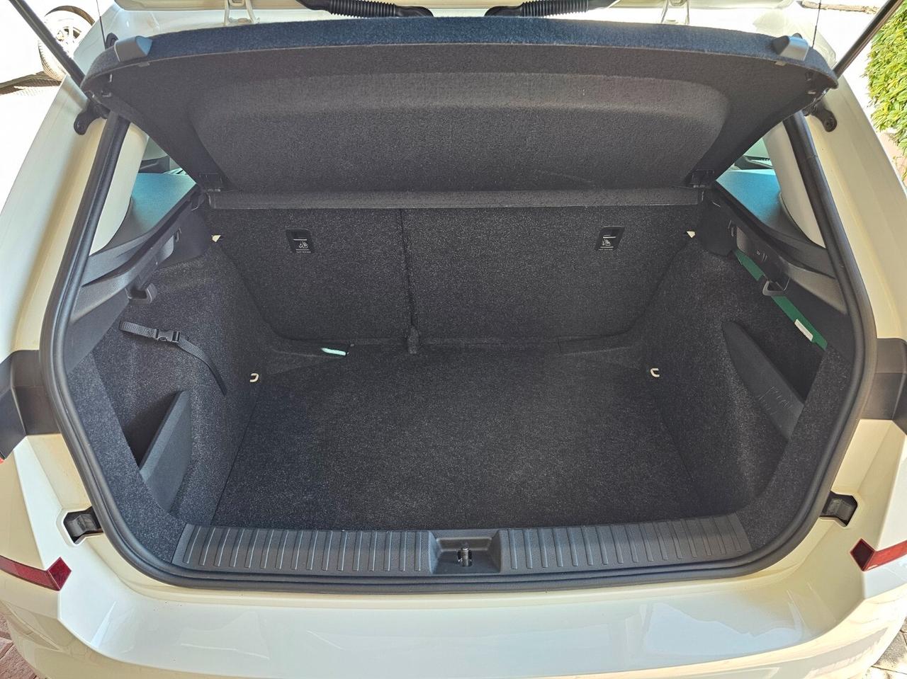 Skoda Kamiq 1.0 TSI 115 CV Ambition