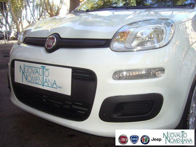FIAT Panda 1.0 FireFly S&S Hybrid 5°posto Pack City Km0