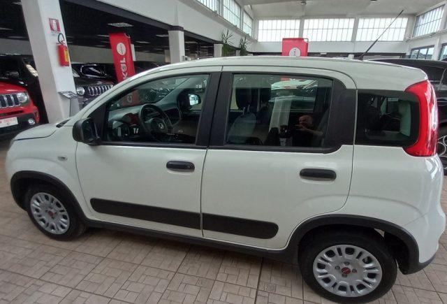 FIAT Panda 1.0 GSE S&S Hybrid Street Van 4 posti
