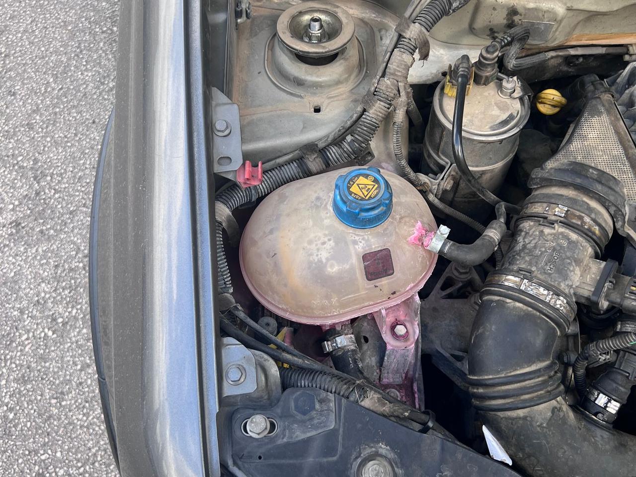 Fiat Panda 1.3 D Multijet DPF Climbing 4x4 #10794