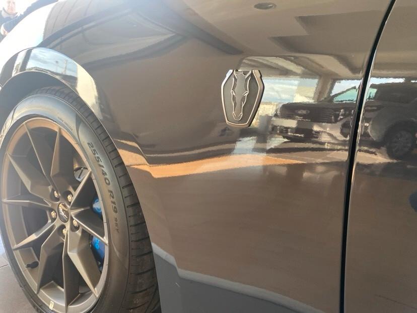 Ford Mustang Fastback 5.0 V8 Dark Horse