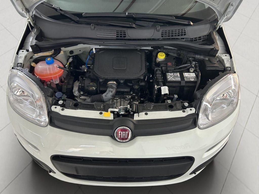 FIAT Panda 3ª serie Panda 1.0 FireFly S&S Hybr...