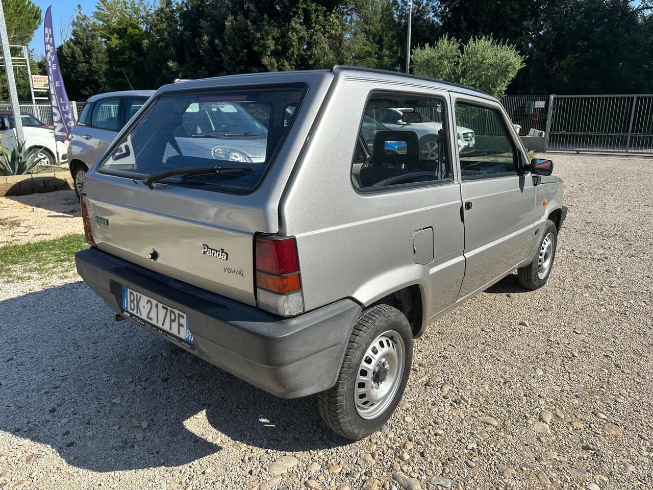 FIAT PANDA 1.1 YOUNG - CONSERVATA