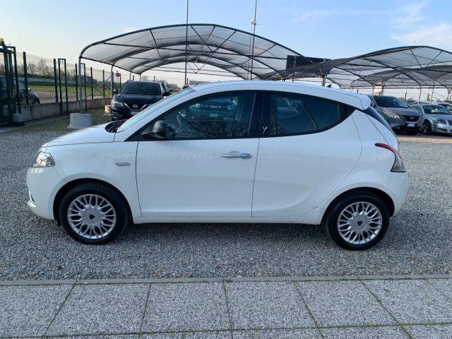 LANCIA Ypsilon 1.2 69 CV 5 porte Platinum