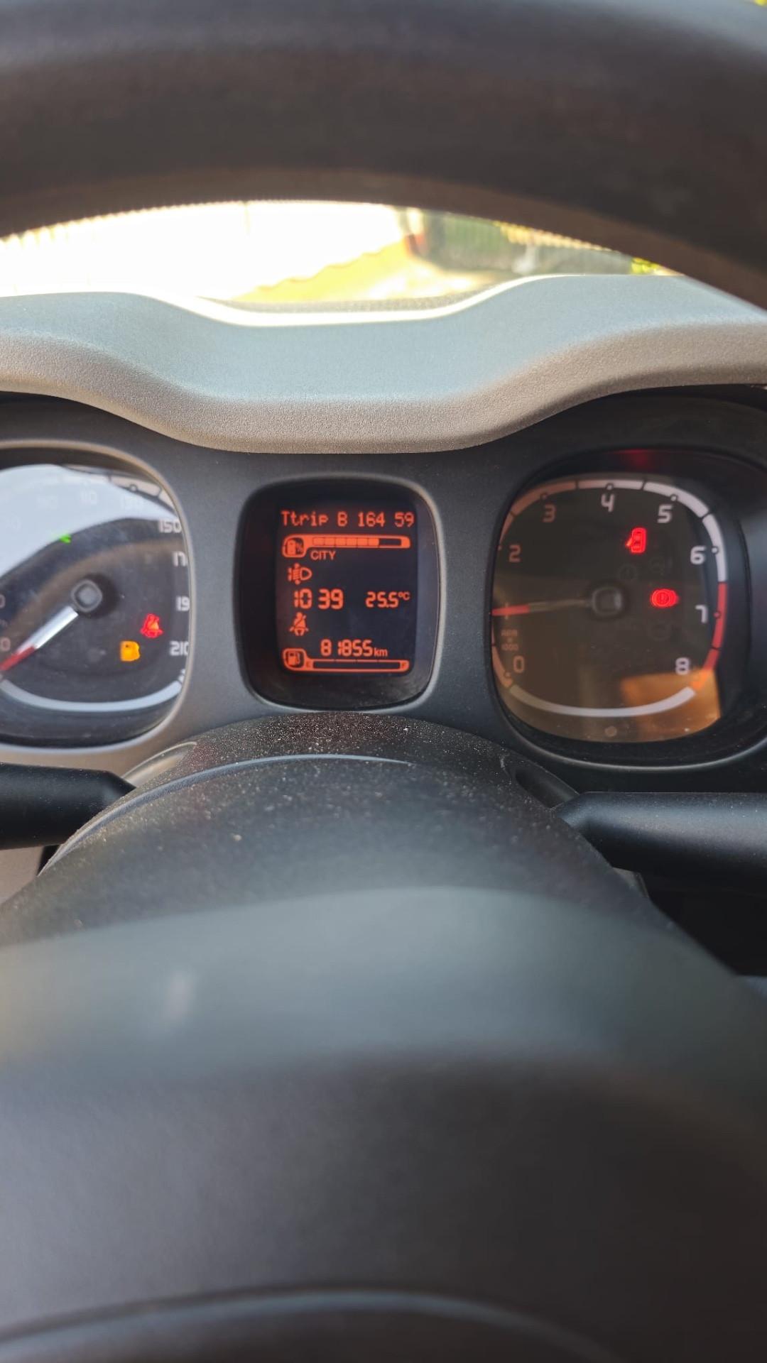 Fiat Panda 1.0 FireFly S&S Hybrid City Cross