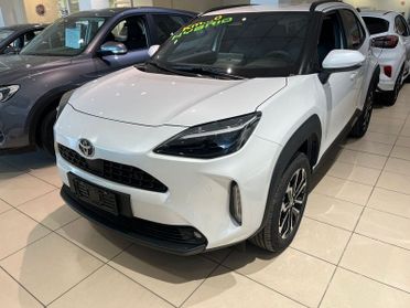 Toyota C-HR C-HR 2.0 PHEV Trend