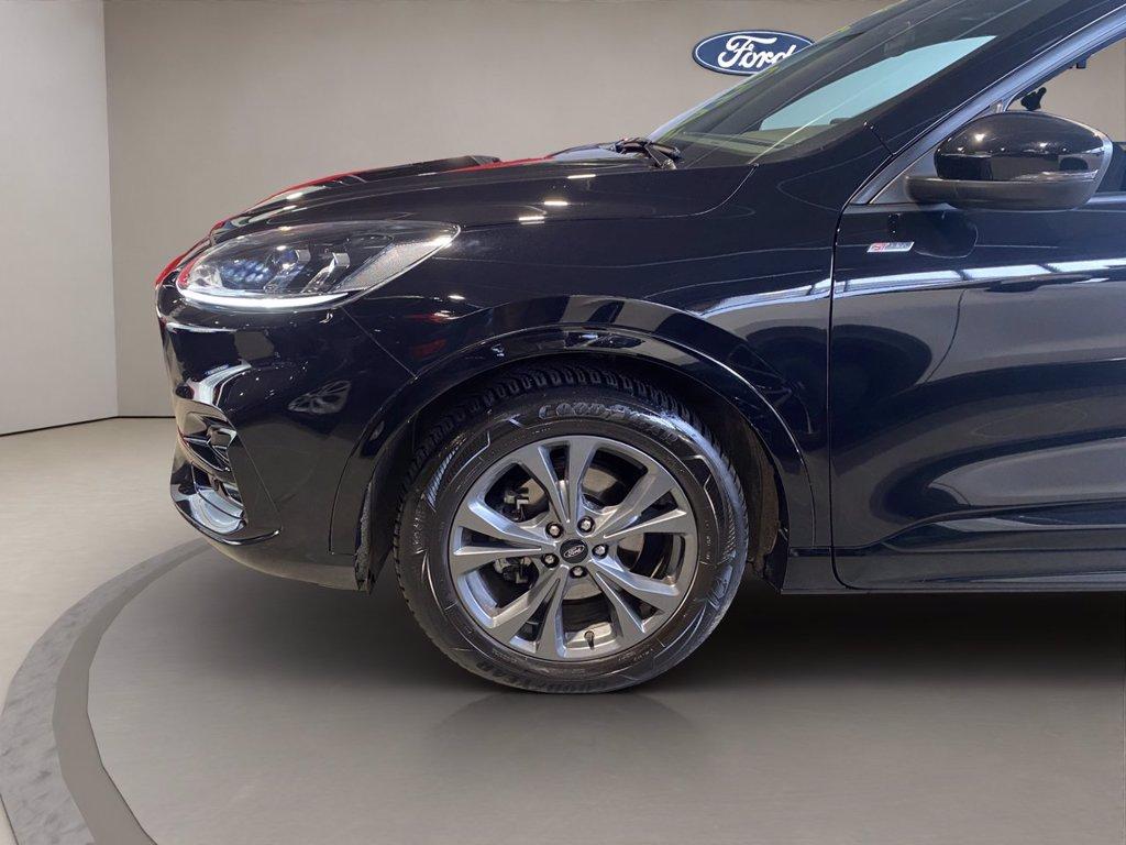FORD Kuga 2.0 ecoblue ST-Line 2wd 120cv auto del 2024