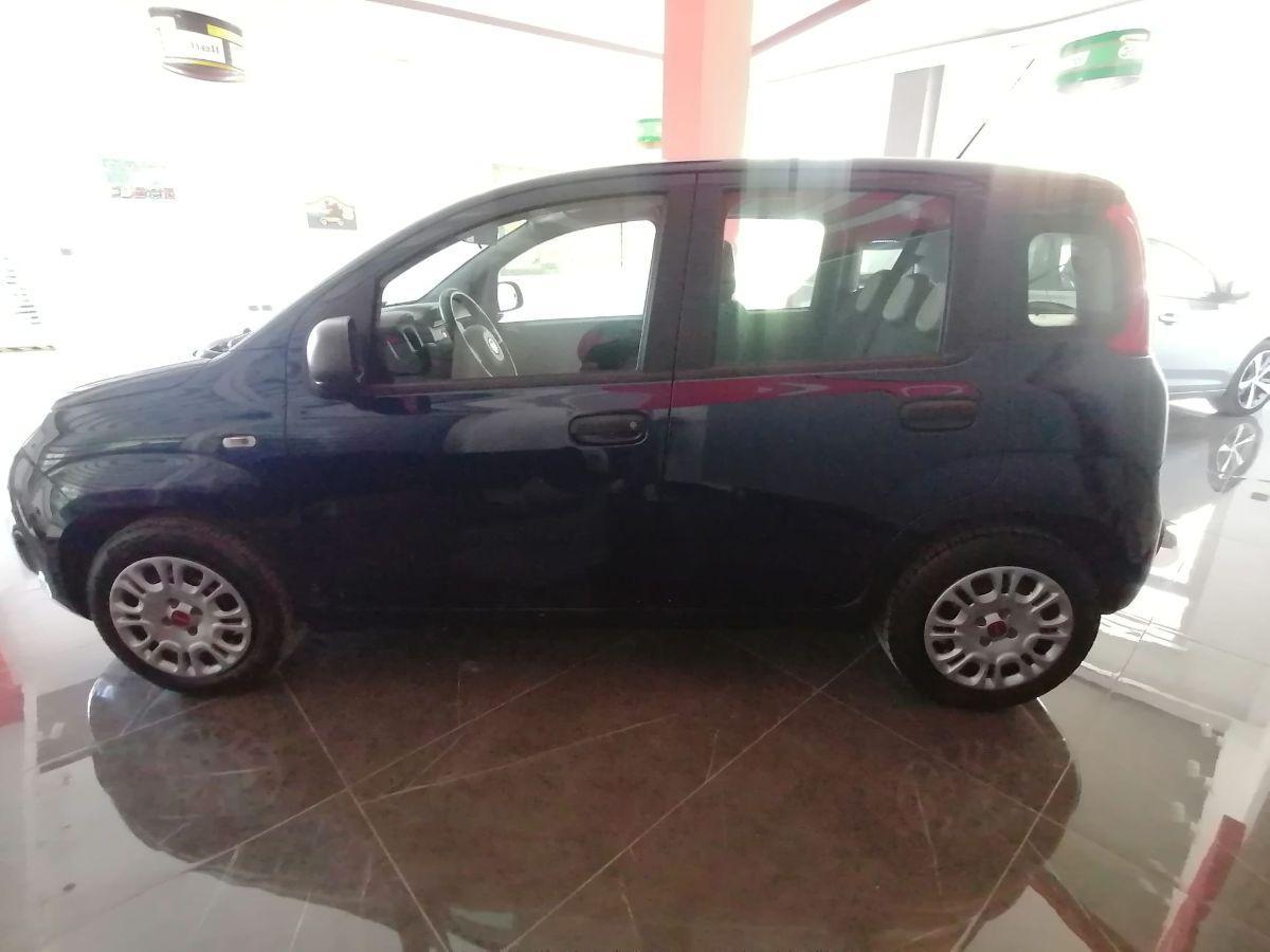 FIAT - Panda - 1.2 Easy