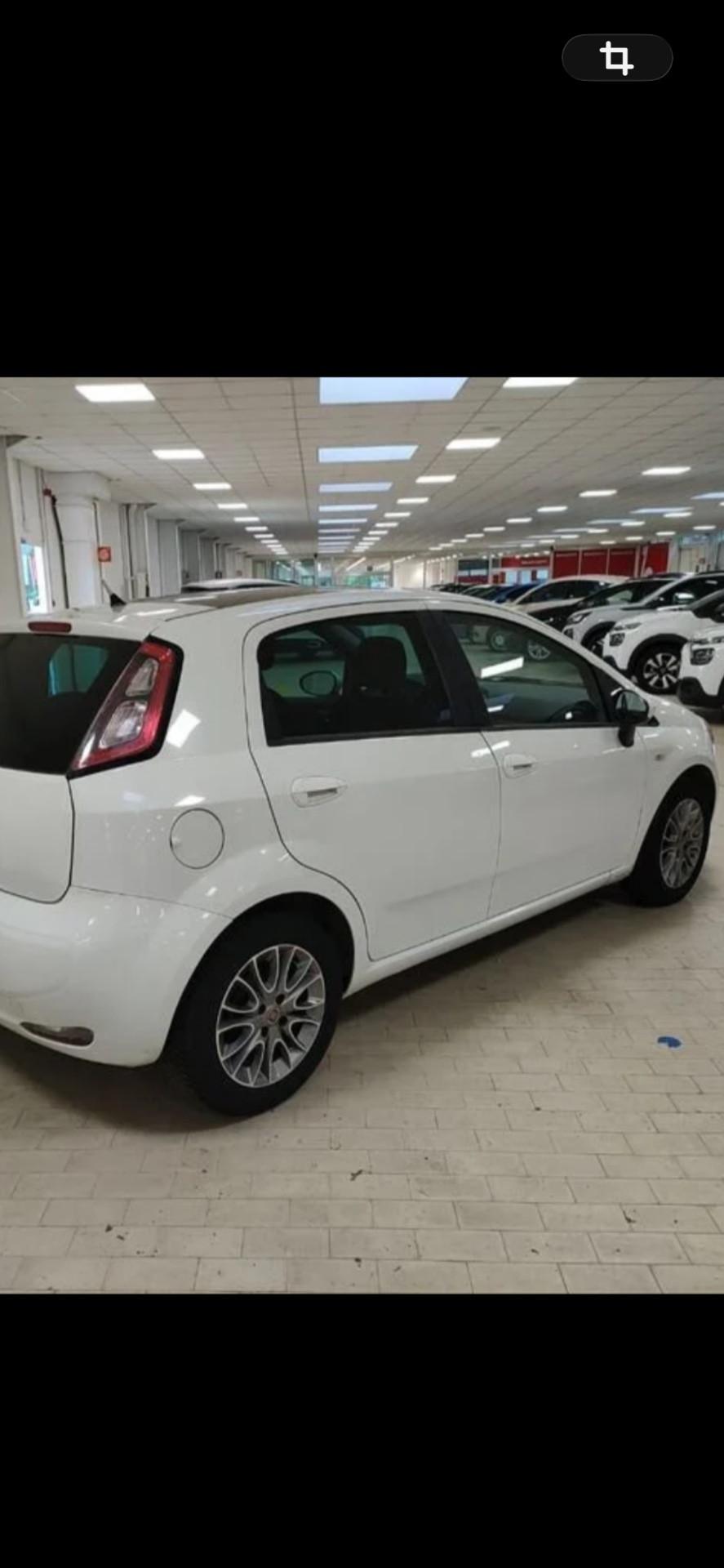 Fiat Punto 1.3 MJT II S&S 95 CV 5 porte NEOPATENTATI