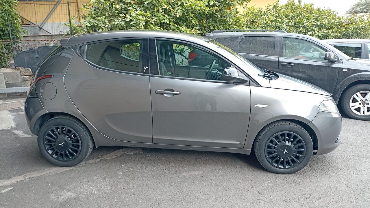 Lancia Ypsilon 1.3 MJT 16V 95 CV 5 porte S&S Elefantino
