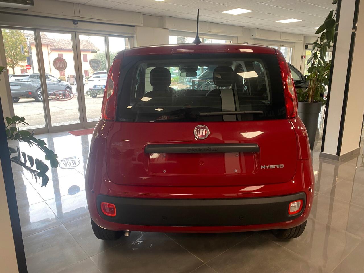 Fiat Panda Pandina 1.0 FireFly 65 CV Hybrid Icon