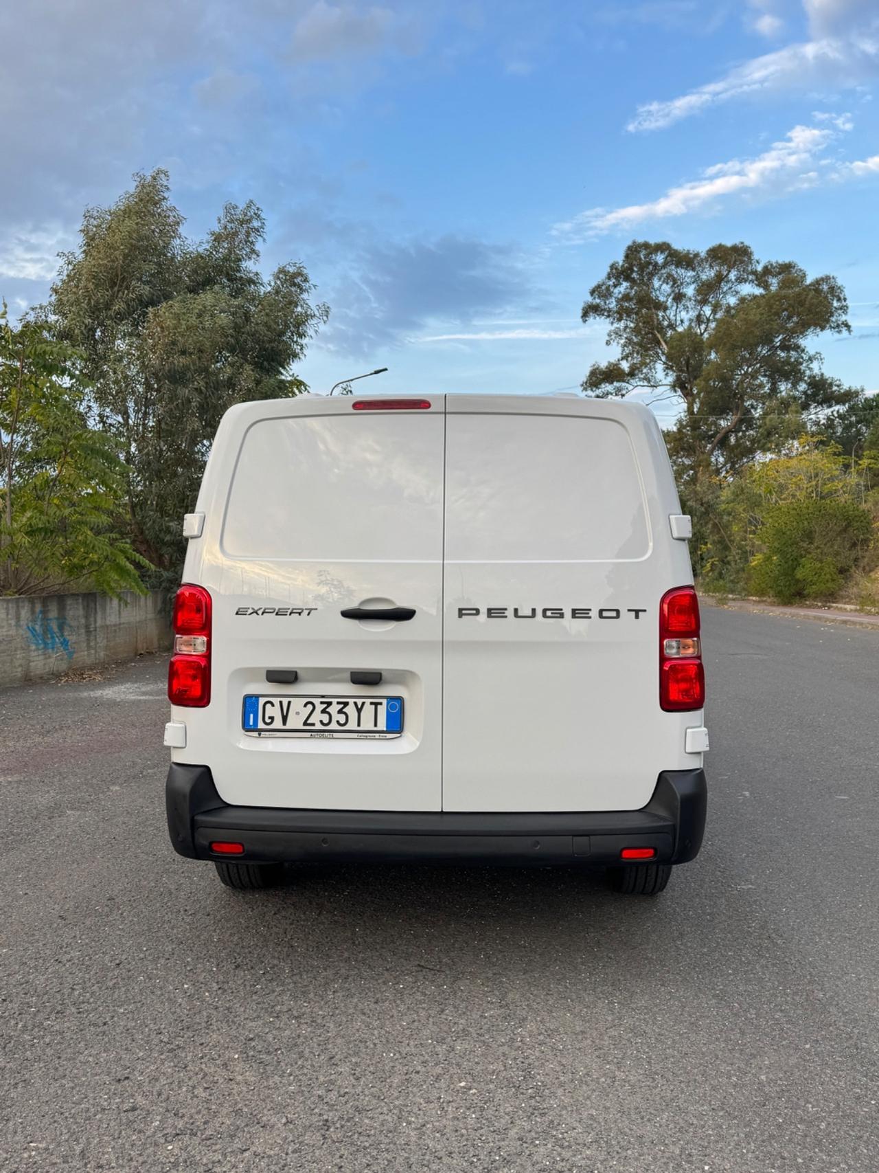 Peugeot Expert 2.0 BlueHDi 140 PL-SL-TN Furgone Long