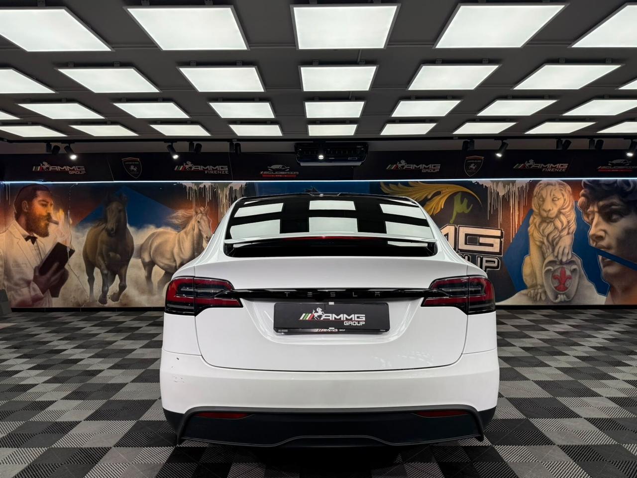 Tesla Model X Dual Motor AWD (803)
