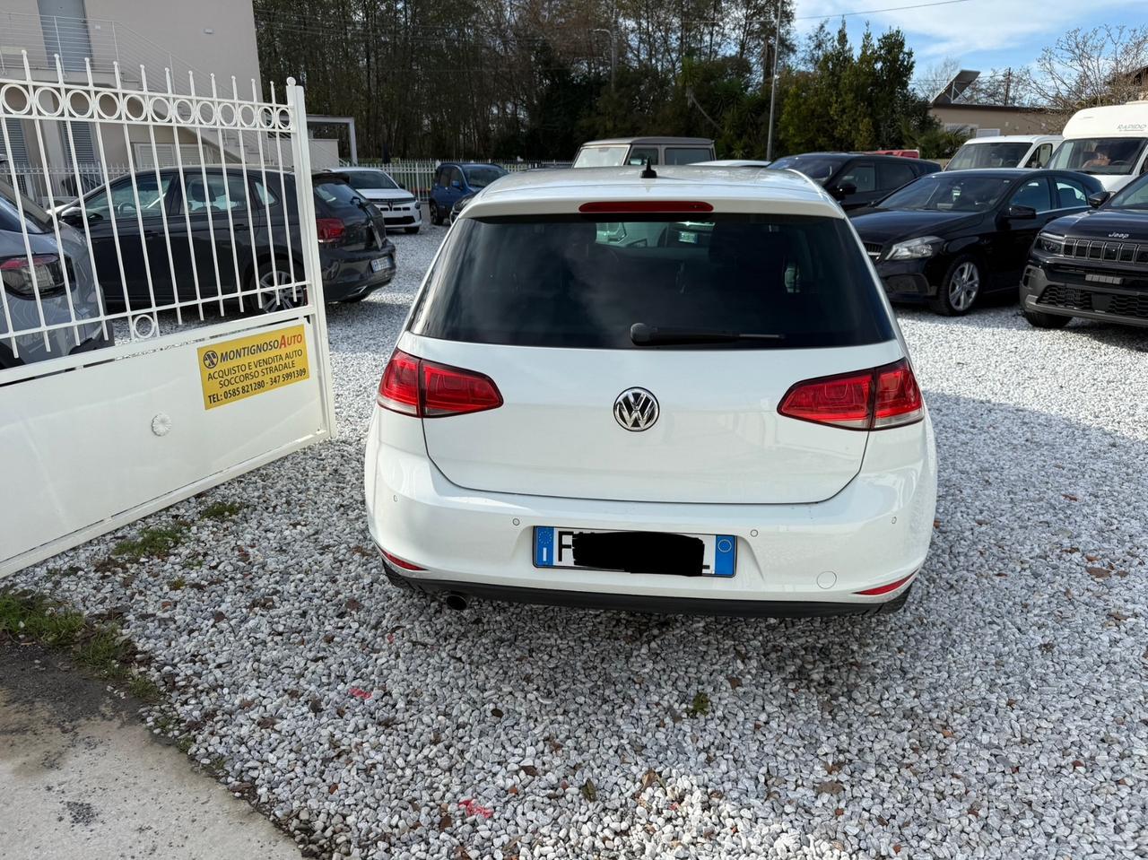 Volkswagen Golf 1.6 TDI 110 CV 5p. Highline BlueMotion Technology