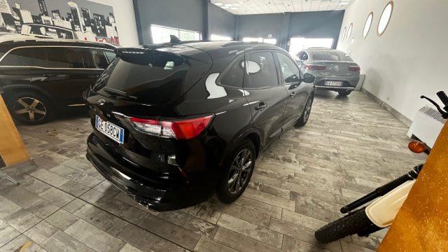 FORD Kuga 1.5 EcoBlue 120 CV 2WD ST-Line