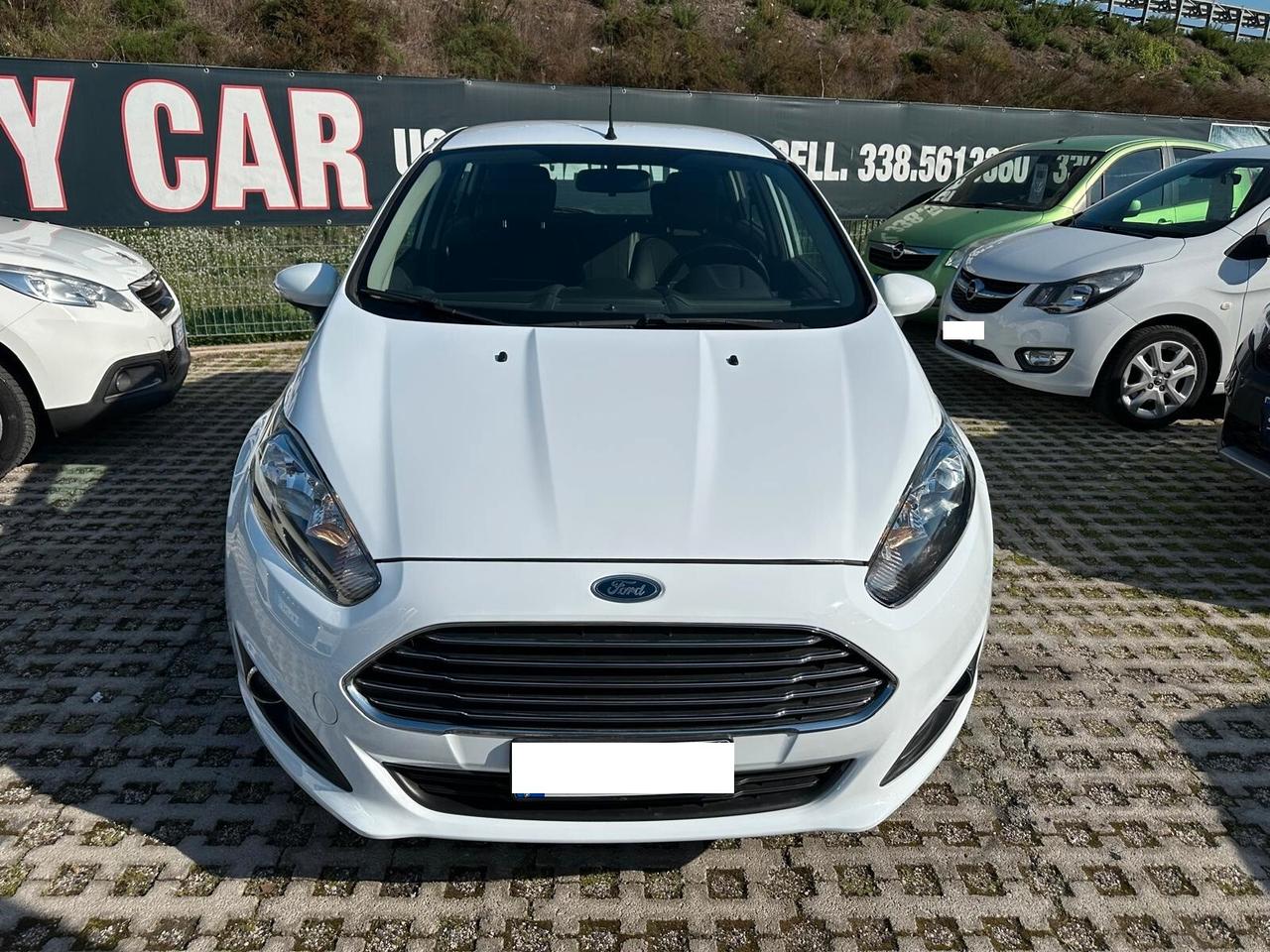 Ford Fiesta 1.5 TDCi 75CV 5 porte-2013