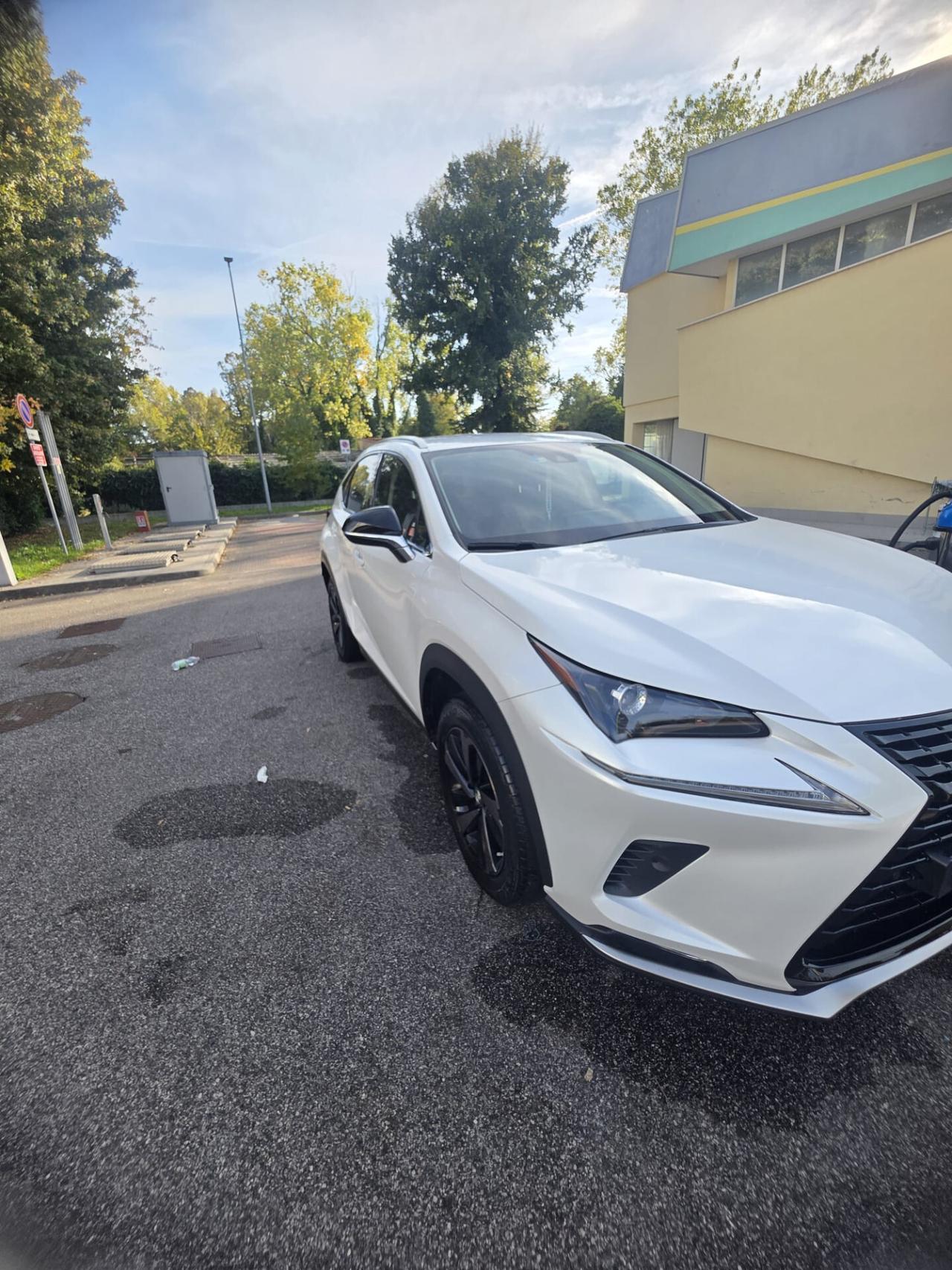 Lexus NX 300h Hybrid 4WD Premium