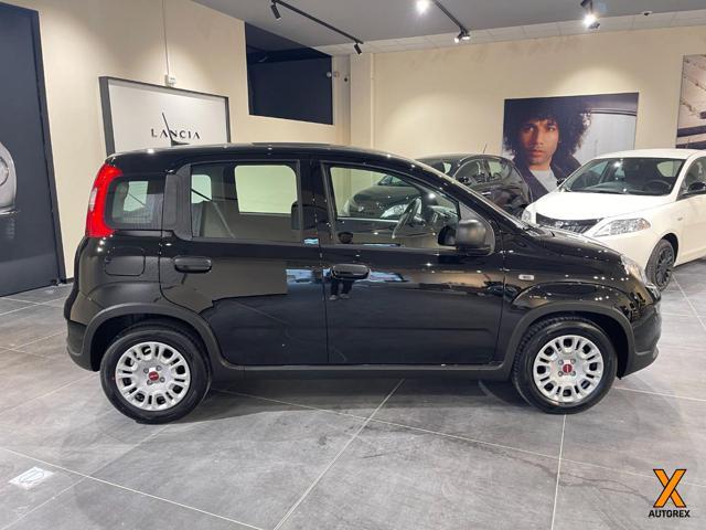 FIAT Panda 1.0 FireFly S&S Hybrid Con Rottamazione
