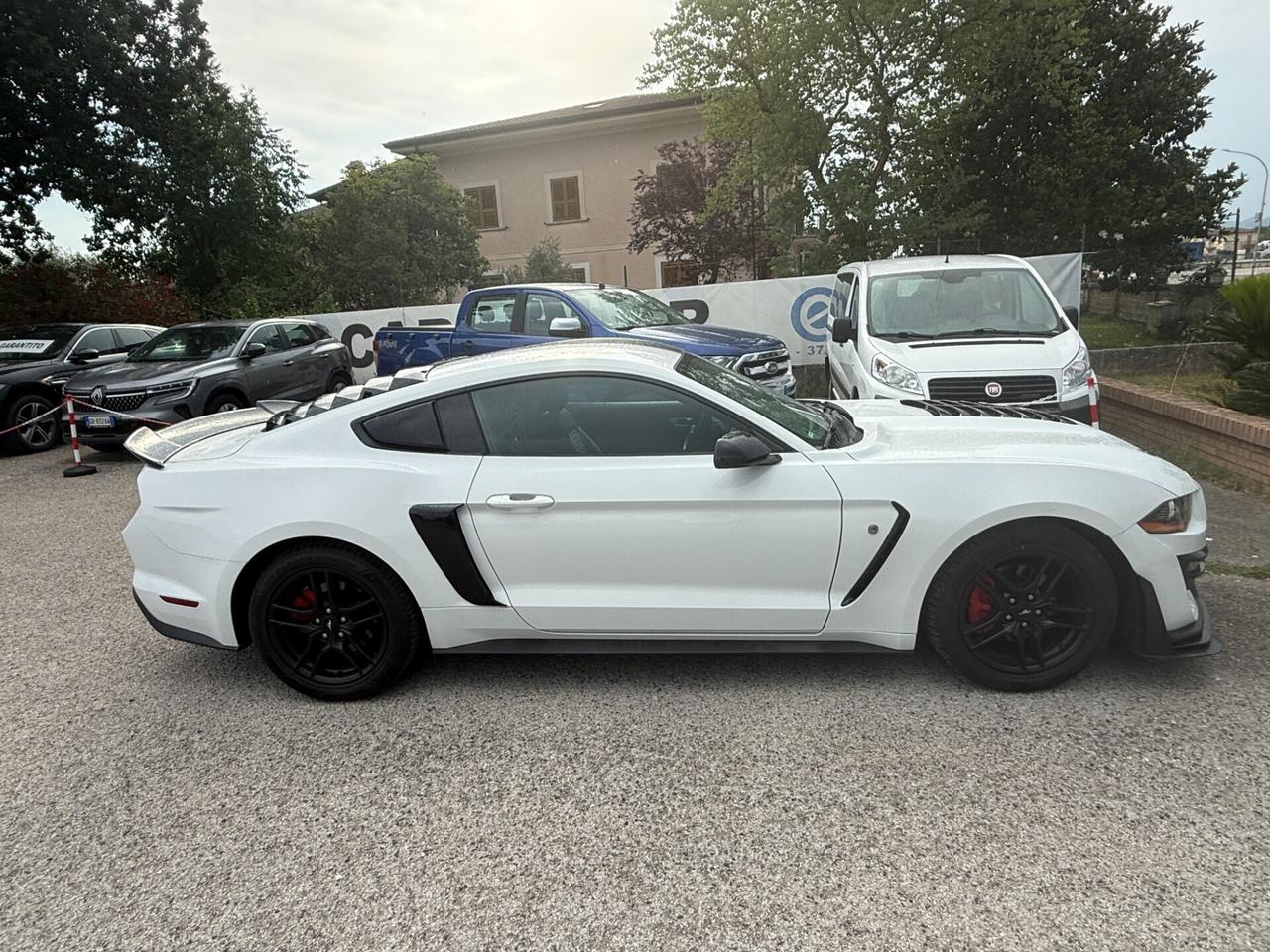 Ford Mustang SHELBY 2.3 EcoBoost 317 cv