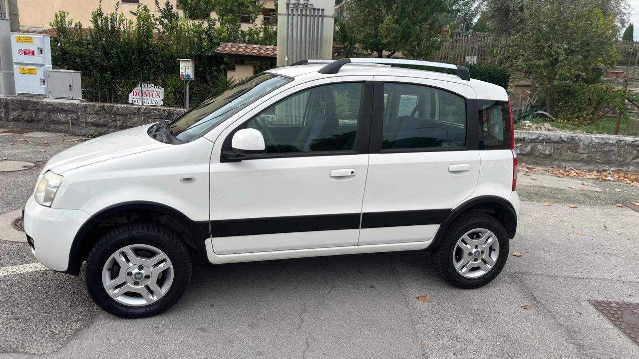 Fiat Panda 1.3 MJT 16V DPF 4x4 Climbing