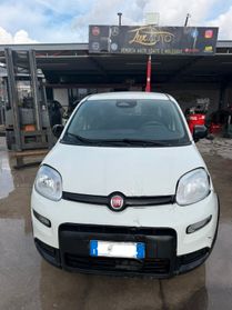 Fiat Panda 1.0 Pandina - 2024