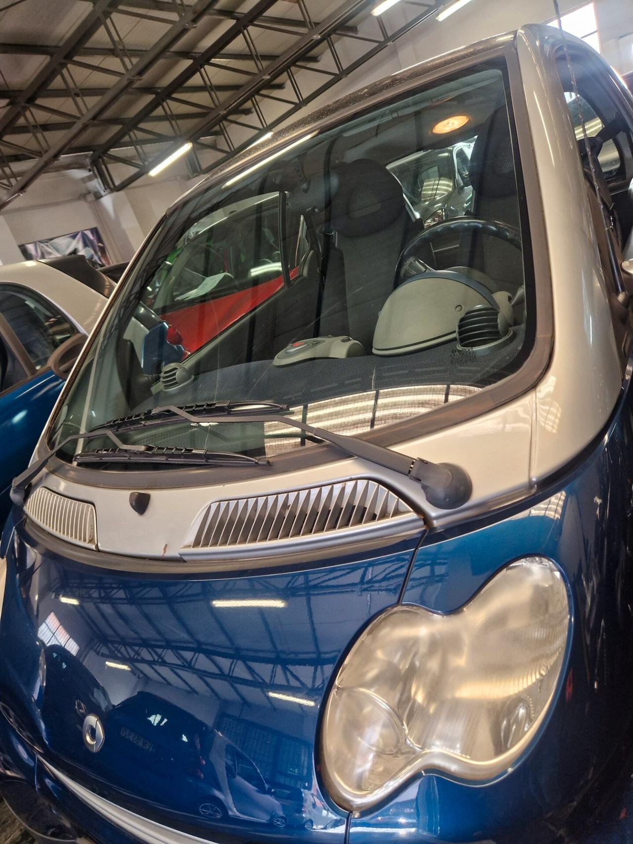 Passion 06 motore revisionato garanzia