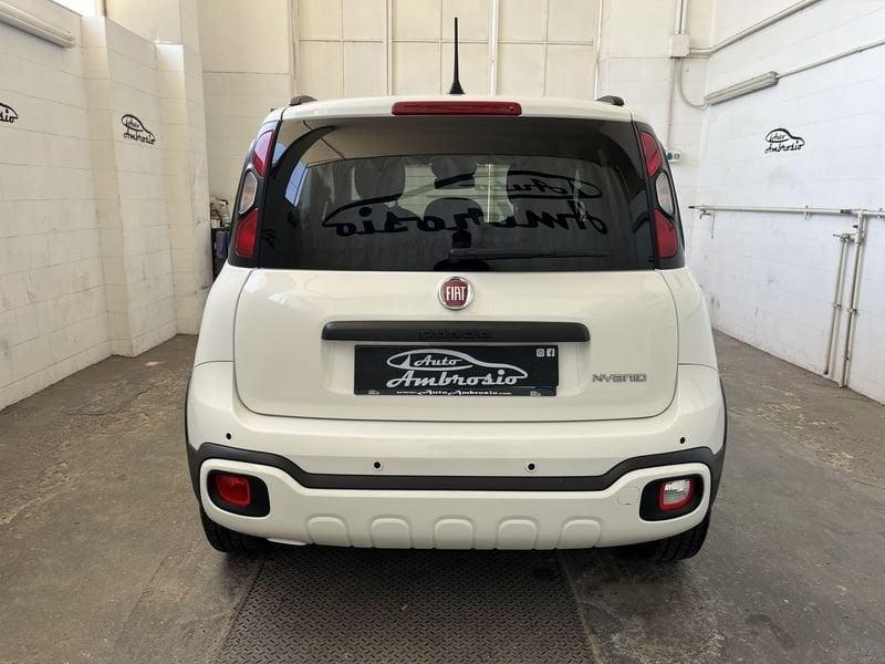 FIAT Panda Cross Panda Cross 1.0 FireFly S&S Hybrid PANDINO TUA DA 149.00 AL MESE