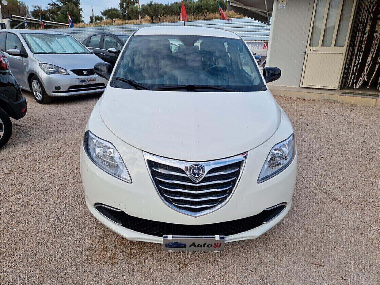 Lancia Ypsilon 1.3 MJT 16V 95 CV 5 porte S&S Platinum