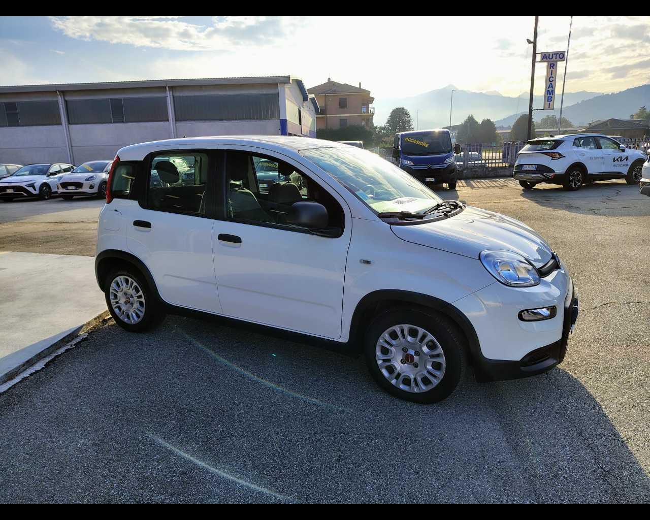 FIAT Panda III 2021 - Panda 1.0 firefly hybrid s&s 70cv