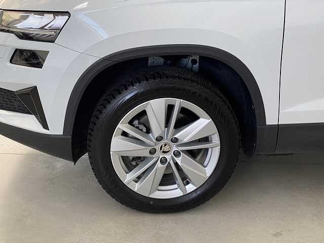 SKODA Karoq 2.0 TDI EVO SCR 115 CV DSG Executive