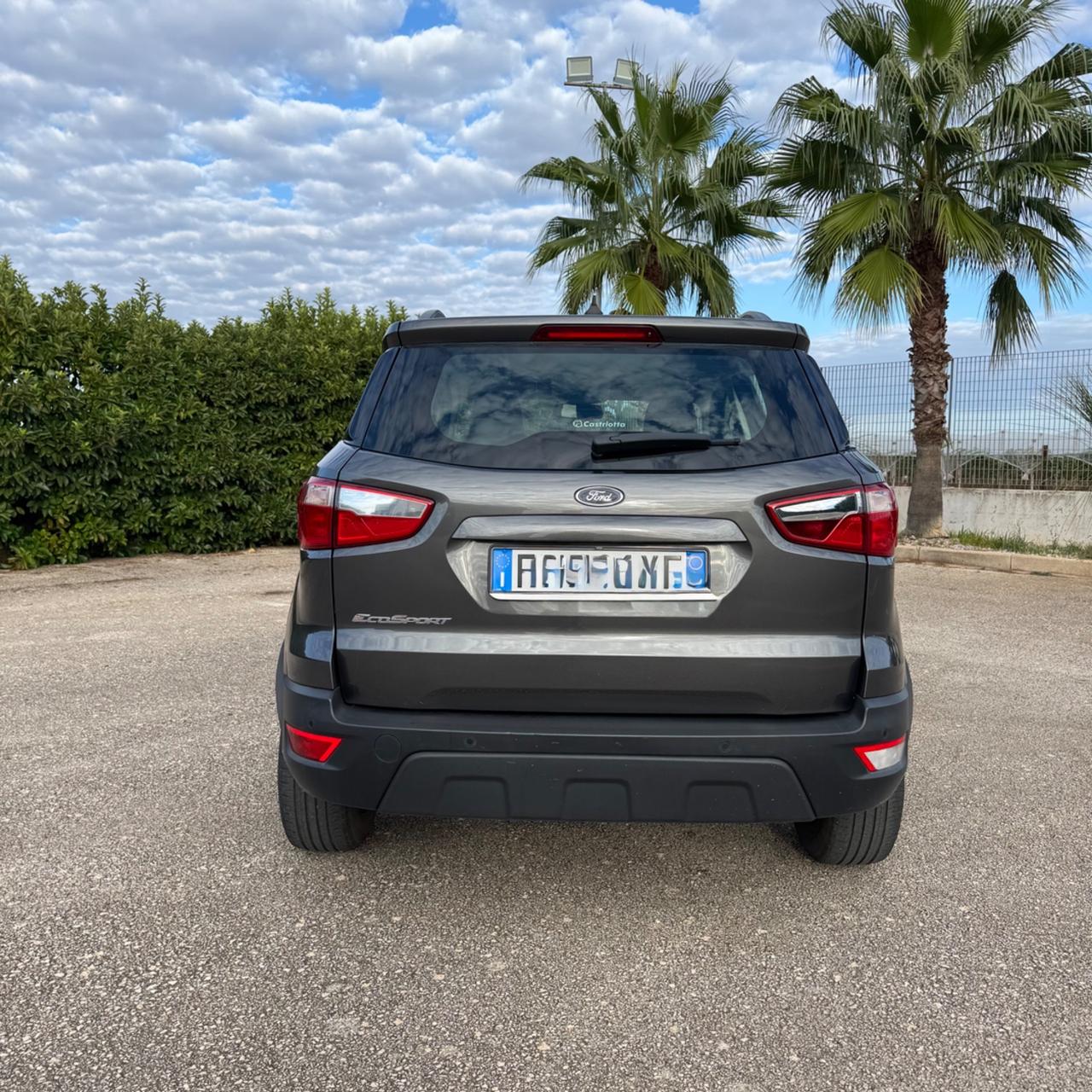 Ford EcoSport 1.0 EcoBoost 125 CV Start&Stop aut. Business